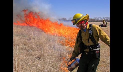 A fire team lights a restoration burn on the Dahms Tract, Platte River and Wood River area of Nebraska. The Nature Conservancy hopes to demonstrate that there is economic as well as conservation value in restoring tracts of native grasslands. Photo by Chris Helzer/The Nature Conservancy