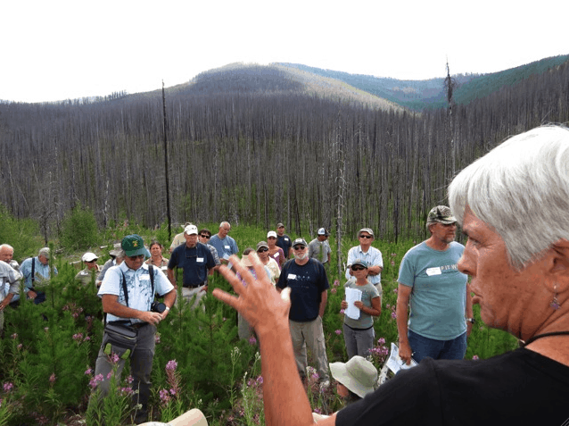 Snapshot of the Flathead National Forest (MT) Plan Revision field tour on the Tally Lake Ranger District, August 2013. That's New Century of Forest Planning commenter Dave Skinner with the camera, green hat and snazzy shirt. Photo by Keith Hammer.