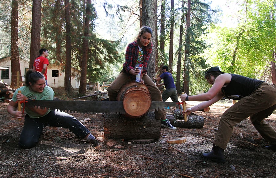 Madeline Green and Allison Erny practice "buck-sawing" with Cal Logging Sports at the Russell Research Station. Courtesy of Anya Schultz.