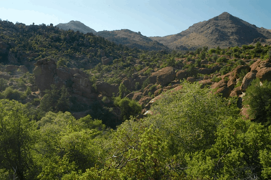 Part of the 449 page Public Lands Rider Package on the $585 Billion Defense Bill includes the SE Arizona Land Exchange, which will give 2,400 acres of the Tonto Nation Forest – ancestral homeland of the Apache Tribe – to a foreign mining company and allow them to put in a huge copper mine on these sacred lands (pictured above). 