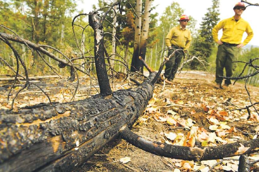 Jeremiah Zamora, left, a district ranger with the Medicine Bow-Routt National Forests, and Aaron Voos, a public affairs officer with the U.S. Forest Service, look at downed and burned trees inside the perimeter of the Beaver Creek fire on Tuesday. Helen H. Richardson, The Denver Post