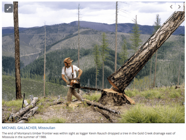 Missoulian recounts Montana timber industry's 'old-growth liquidation