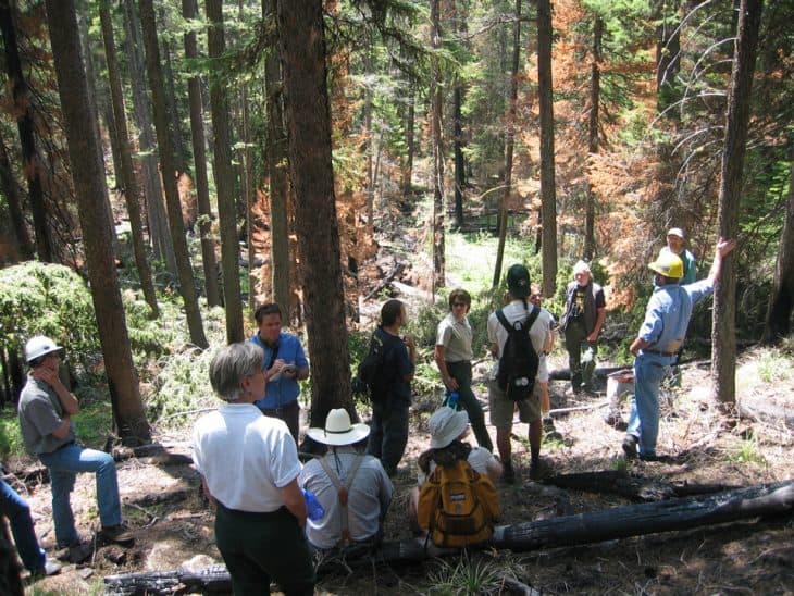 University of montana forestry jobs